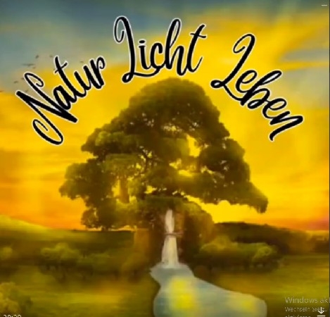 Natur - Licht - Leben